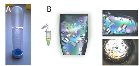 University of Granada scientists patent a new biocompatible hydrogel