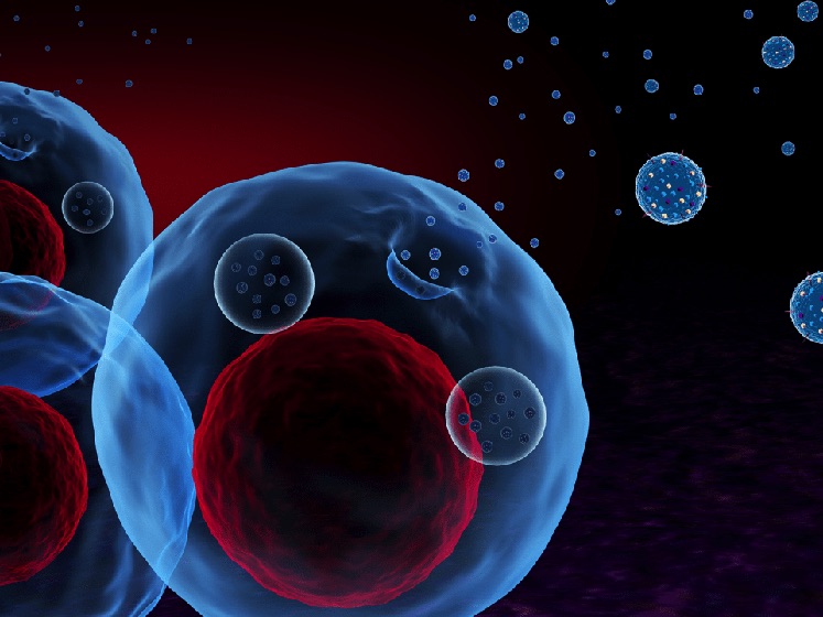 Unlocking the potential of exosomes: promising advances in drug delivery and diagnostics