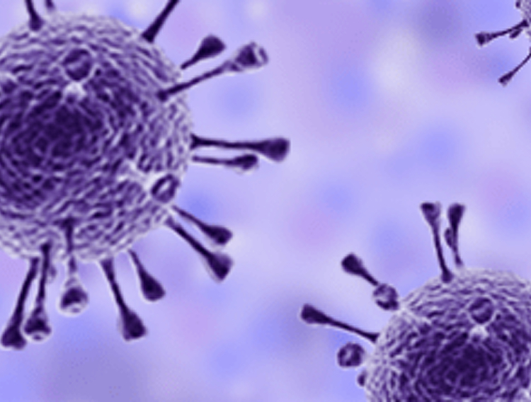 US gene therapy CDMO enters virus manufacturing partnership