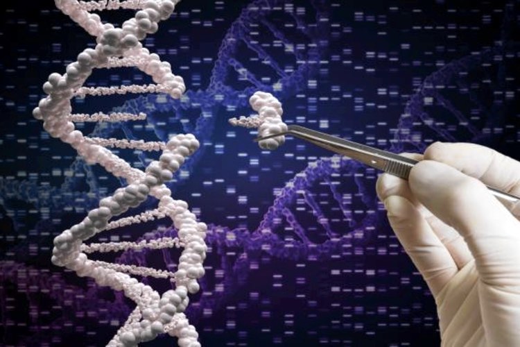 US Patent and Trademark office declares new CRISPR interference