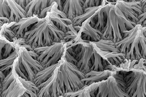 US researchers create new implantable drug delivery system that uses nanowires