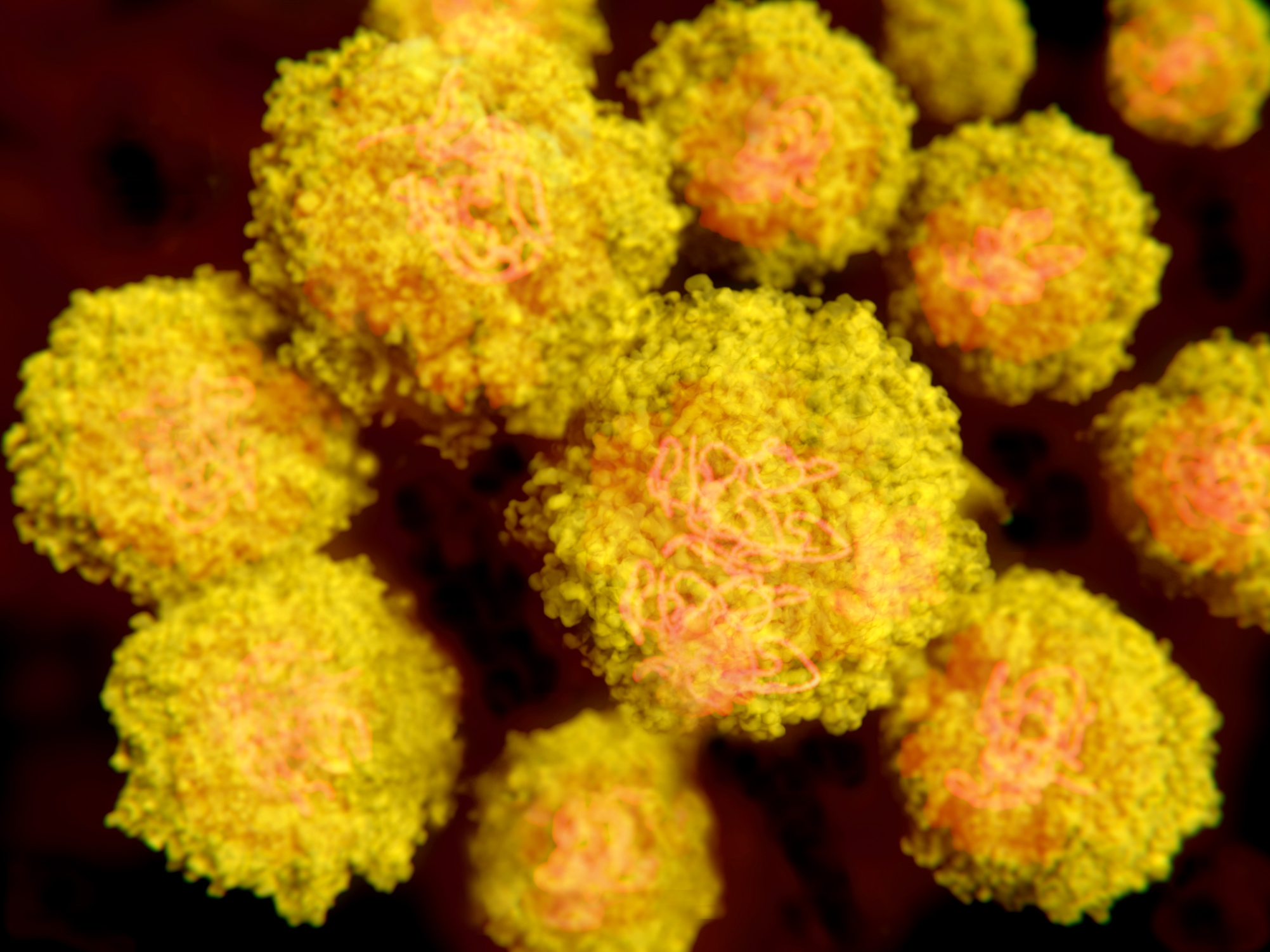 VBI Vaccines applies its eVLP platform to development of Zika vaccine