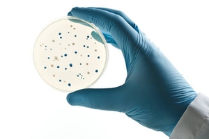 Plasmid and lentiviral vector CDMO VectorBuilder orders rise by 70%