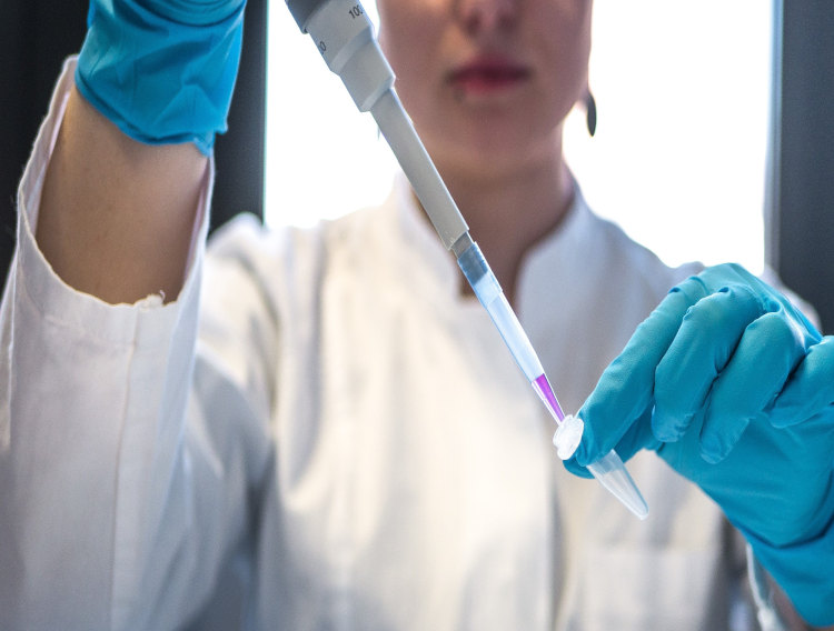 VectorY and Wageningen University sign strategic collaboration 