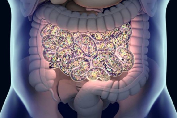 Vedanta Biosciences receives award to advance microbiome derived therapeutic programme 