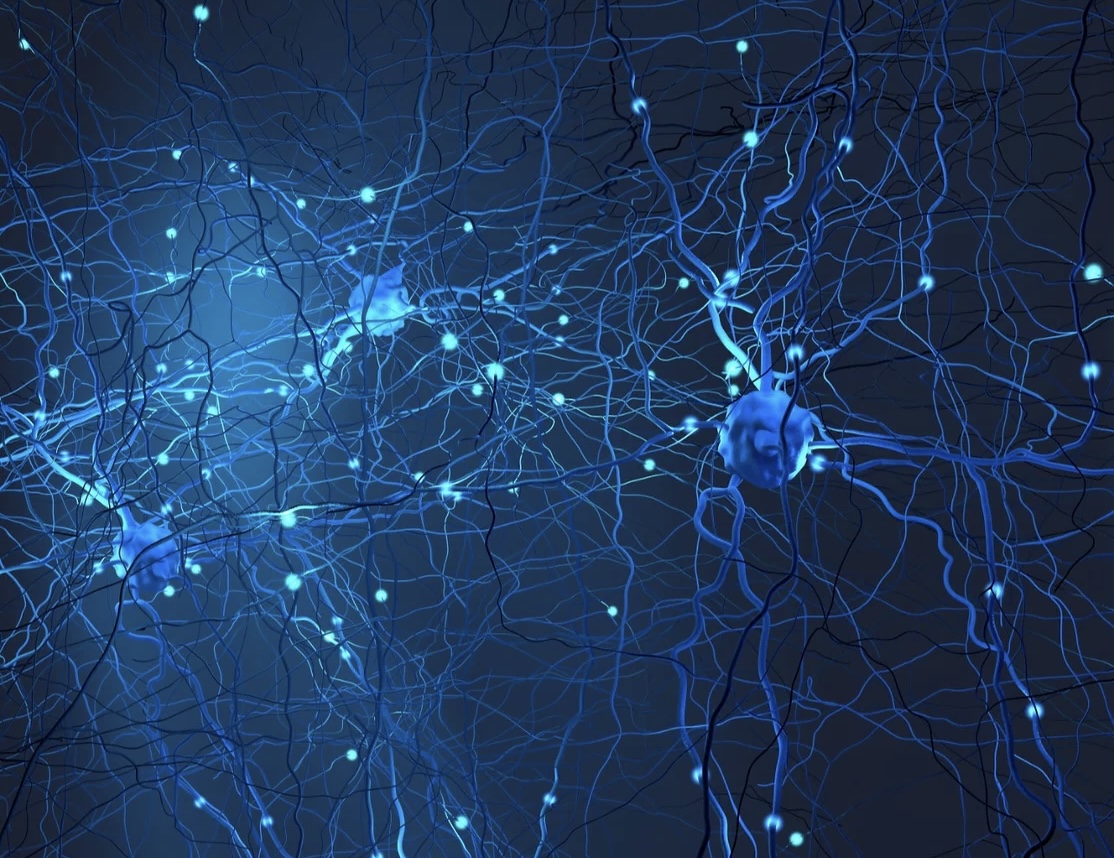 Vesper Bio awarded grant to assess sortilin inhibitors to treat Parkinson’s disease