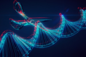 Vilnius University scientists reveal new role for CRISPR-Cas9 in bacterial immunity