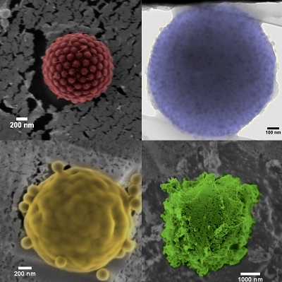 Warwick researchers develop new vehicle for drug release