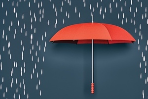 Weathering the Brexit storm
