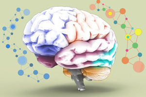 What role can CBD play to support mental health?