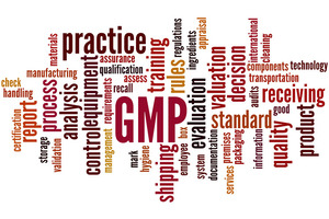 What to consider for successful GMP Annex 1 implementation