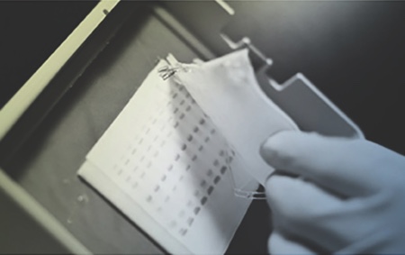What to look for when choosing antibodies