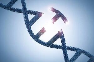 WHO proposes central registry on human genome editing research