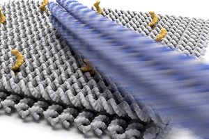 Working on a nano assembly line