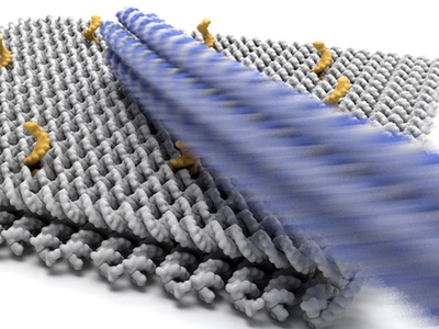 Working on a nano assembly line