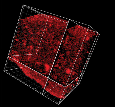 Working with 3D vision