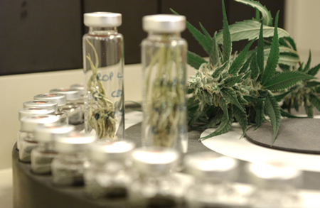 World's first prescription cannabis medicine launched in the UK  