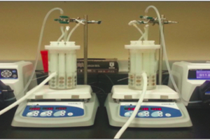 Worst-case biofilm conditions for cleaning evaluations 