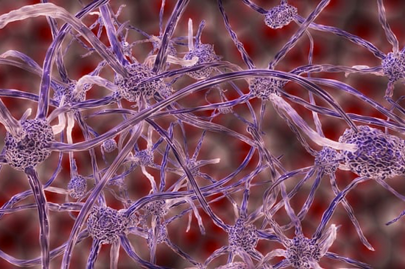 Zevra Therapeutics' Miplyffa becomes the first FDA-approved therapeutic for Niemann-Pick disease
